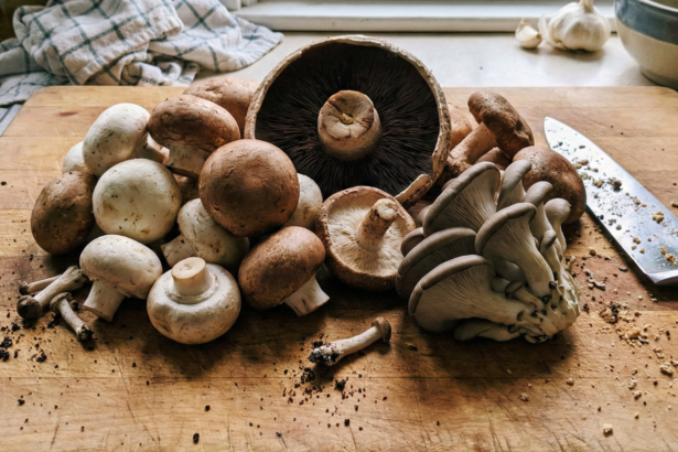 9 Essential Types of Mushrooms for Cooking You Should Know